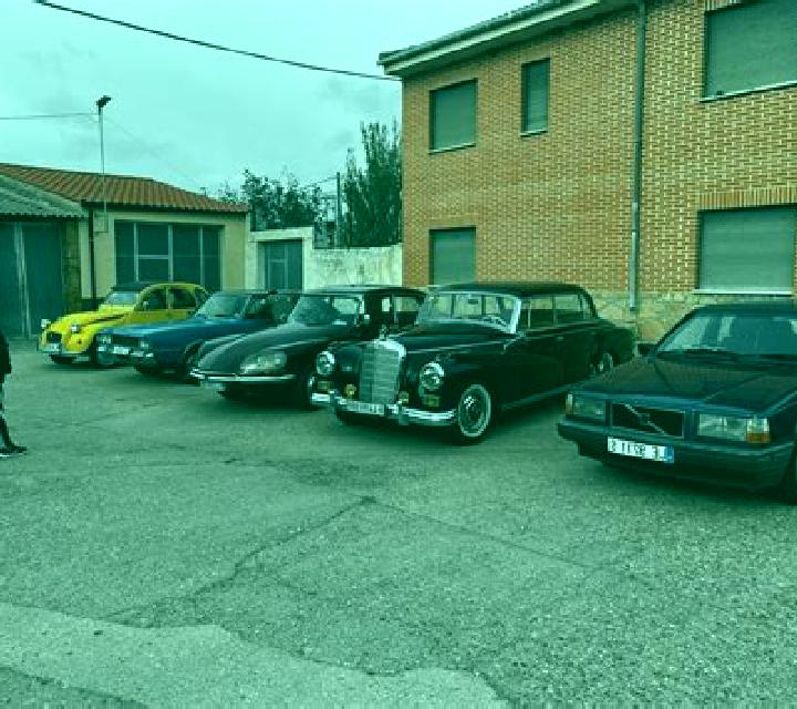 Salma 3 Gamonal escort