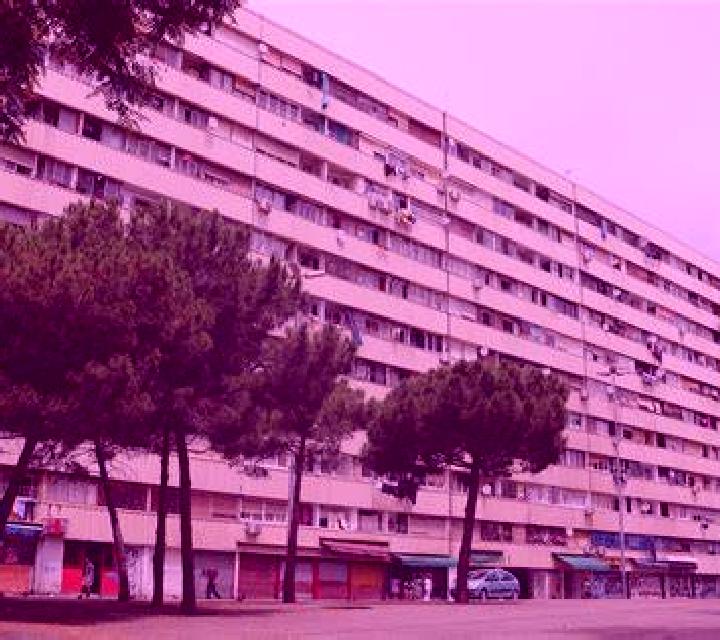 Salma El Provencio escort