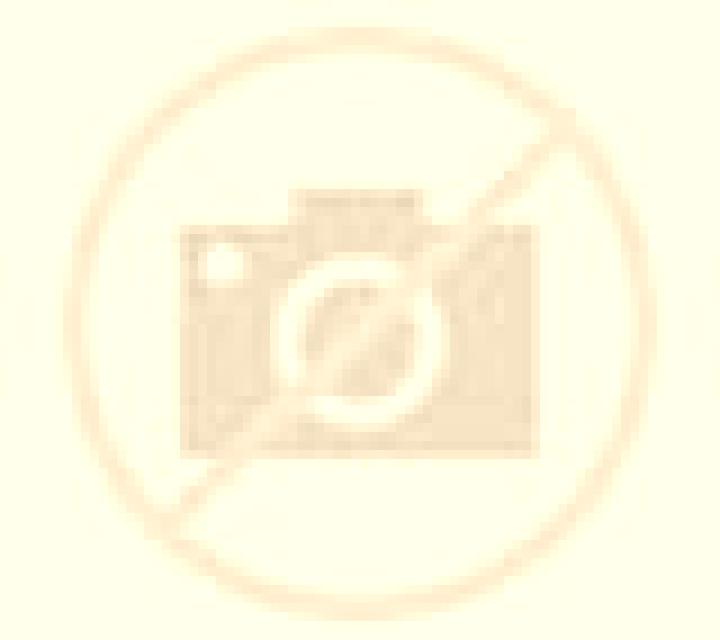 Salma Fago escort