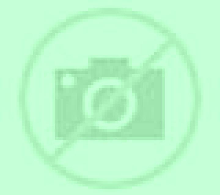 Salma Guadasequies escort