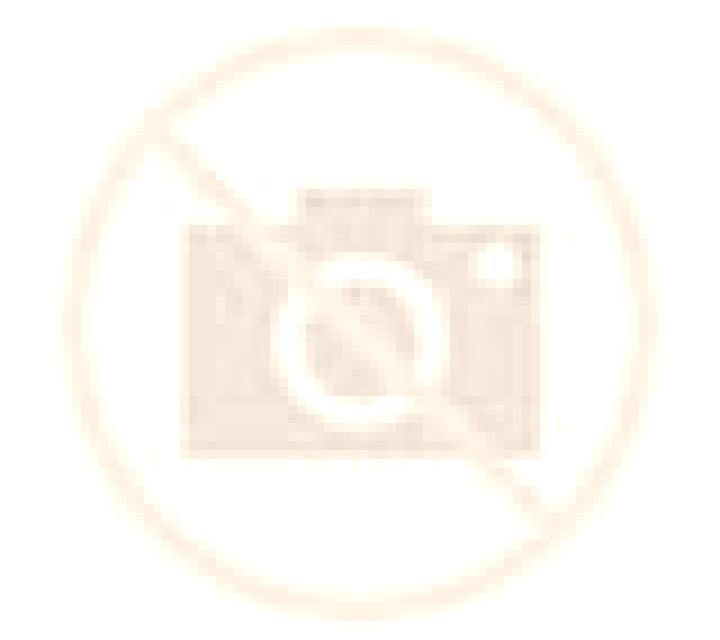 Selene Castelldans escort