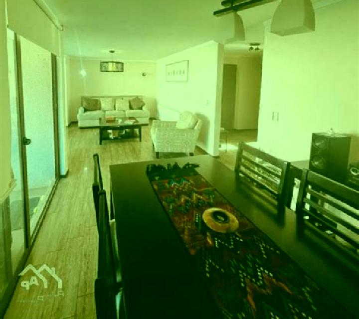 Sofía Casas de Fernando Alonso escort