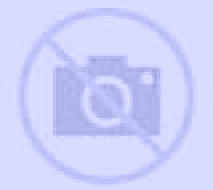 Valentina Alcanizo escort