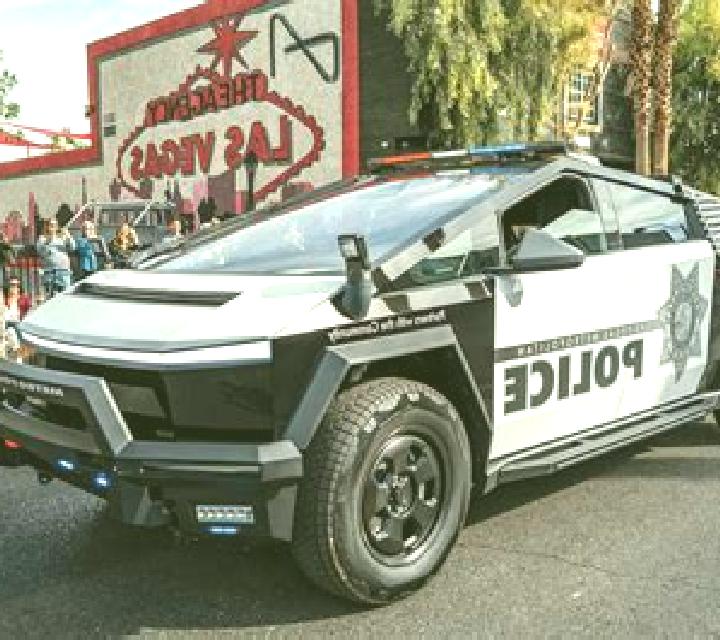 Vega 2 Barruecopardo escort