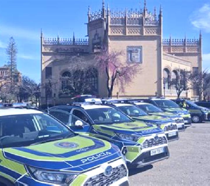 Vega Bermeo escort