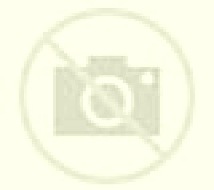 Vega Luesia escort