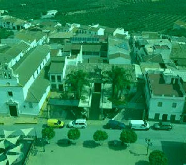 Vega Porto do Son escort