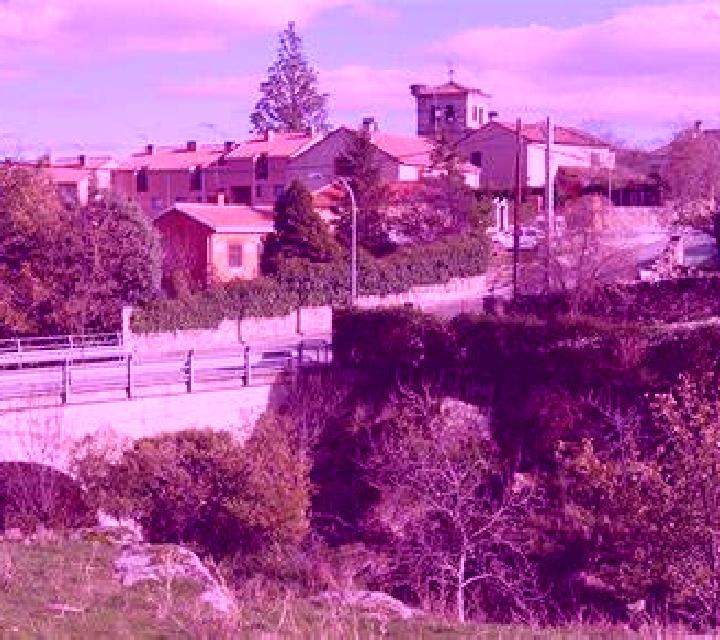 Vega Villa del Campo escort