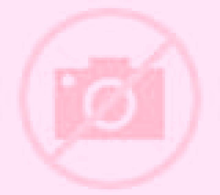 Verónica L Ampolla escort