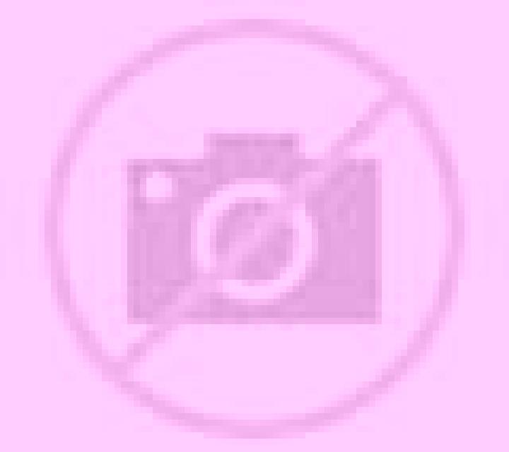 Ximena 2 Ribafrecha escort