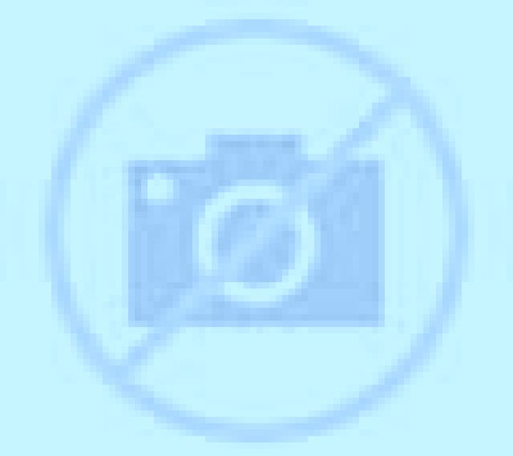Ximena Artajona escort