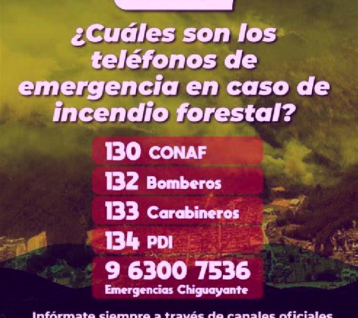 Ximena Royuela de Rio Franco escort