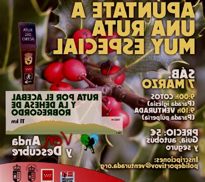 Yasmin 3 Driebes escort