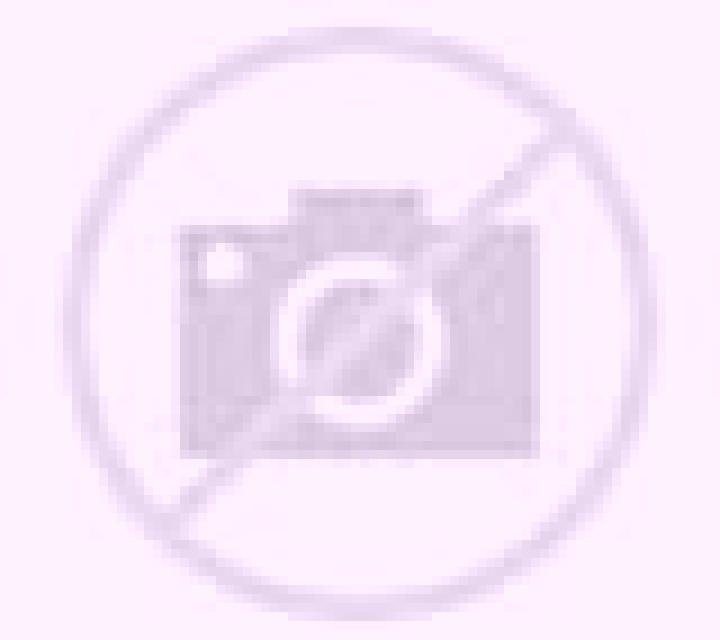 Yasmin 3 El Bonillo escort